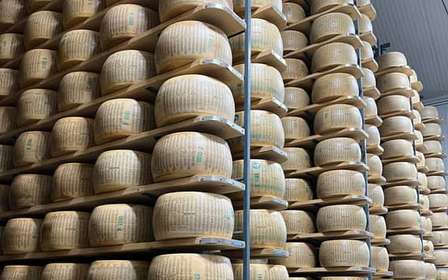Visite privée du Parmigiano Reggiano, du Prosciutto et du Balsamico