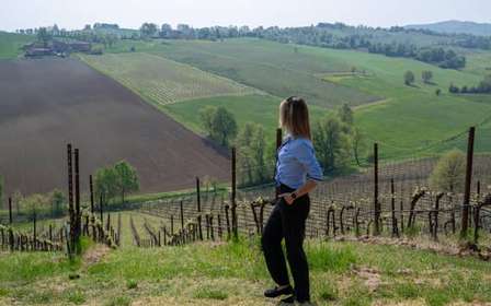 Wine Experience Colli Bolognesi - Visite de l'après-midi