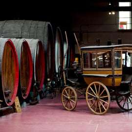 Modène : Dégustation de vin Lambrusco et visite de cave