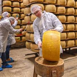 Depuis Bologne : visite autour du Parmigiano, du vinaigre balsamique et du prosciutto