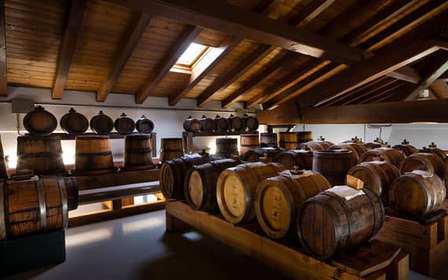Modène - Bologne : visite d'une cave biologique et d'une vinaigrerie