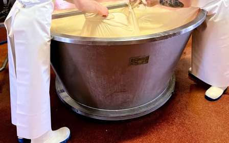 Dégustation de parmesan et de vinaigre balsamique à Modène