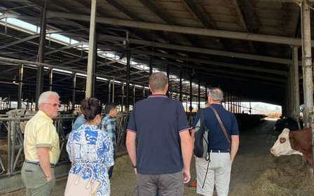 Modène/Bologne : Ferrari, Lambo, fromage, vinaigre avec déjeuner