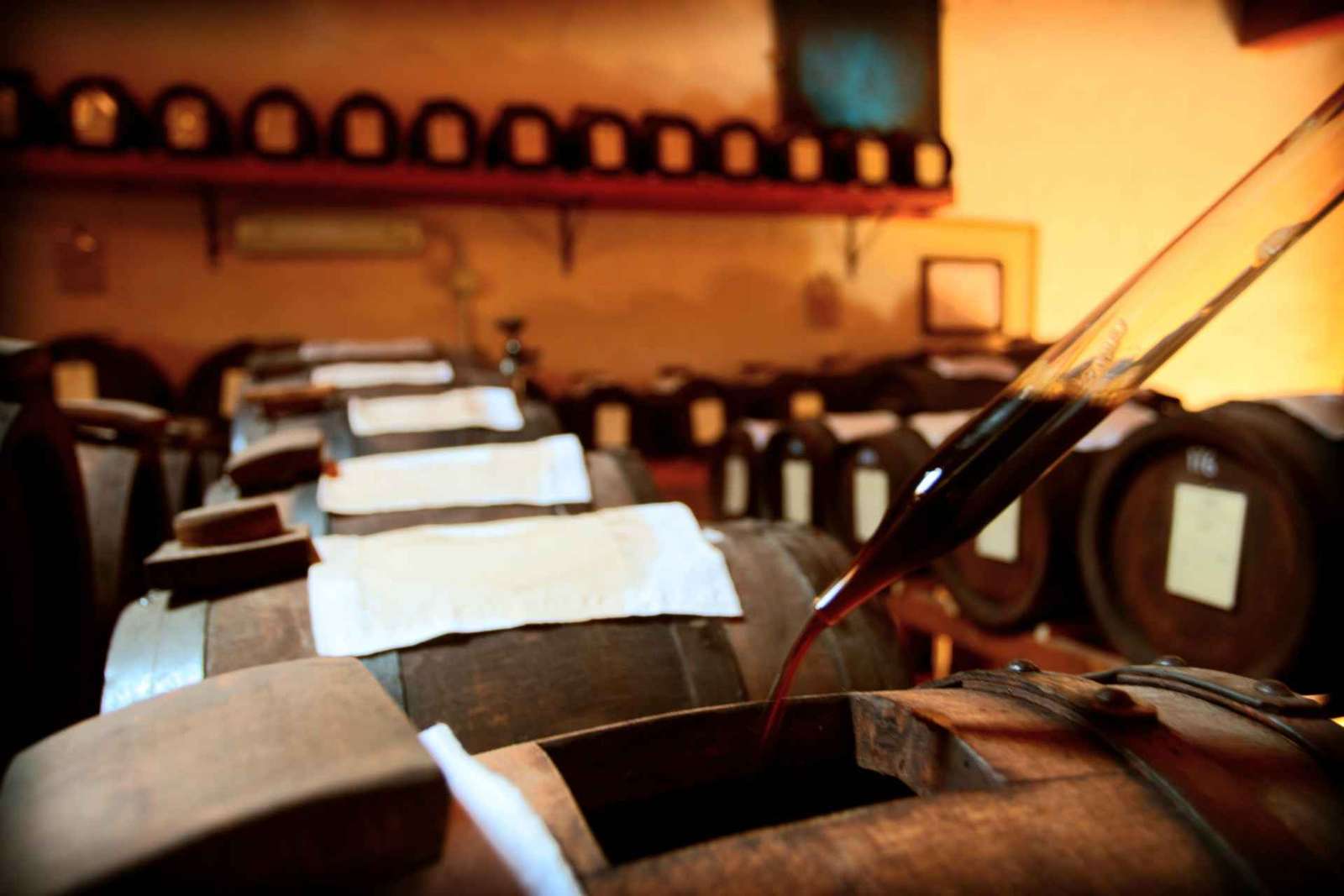 Modène : visite et dégustation du vinaigre balsamique bio et traditionnel DOP