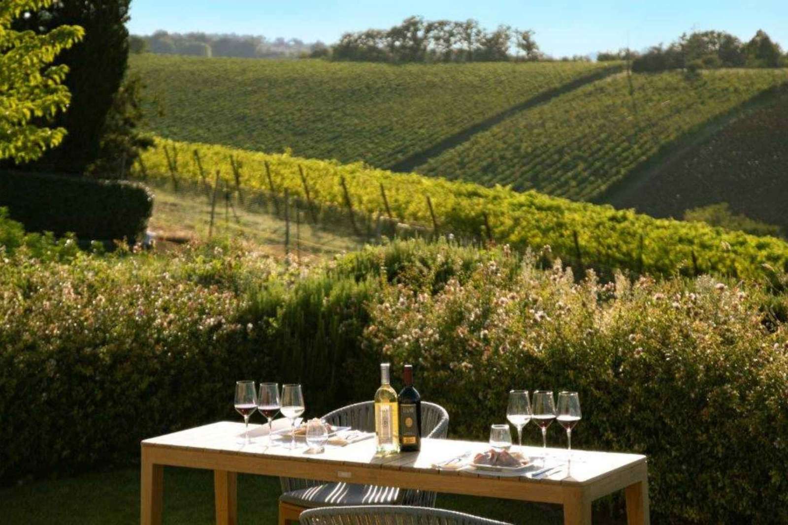 Dégustation de vins avec accord mets et vins près de Bologne