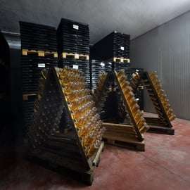 Modène - Bologne : visite d'une cave biologique et d'une vinaigrerie