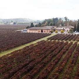 Castelvetro : visite de la cave et dégustation de Lambrusco