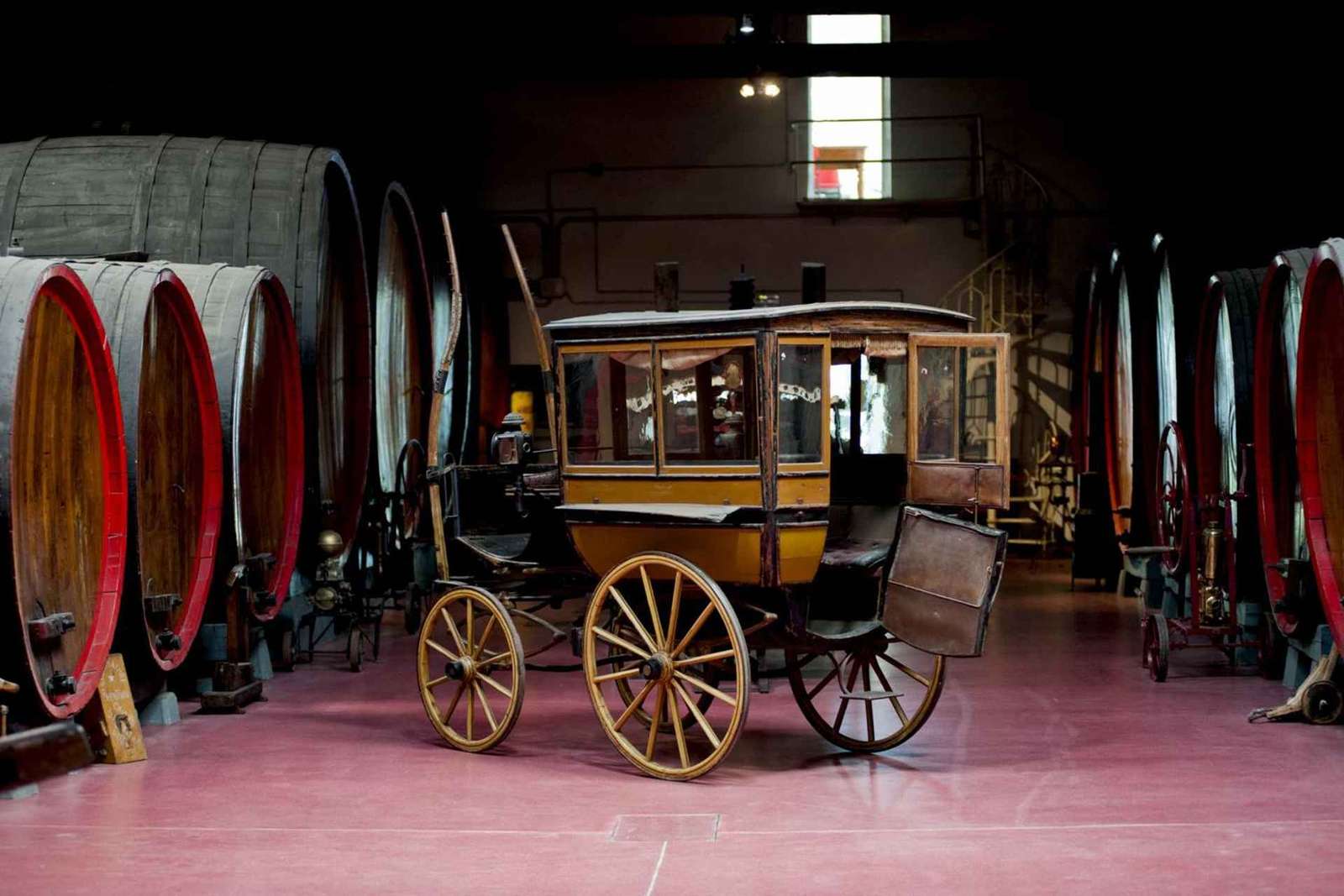 Modène : Dégustation de vin Lambrusco et visite de cave