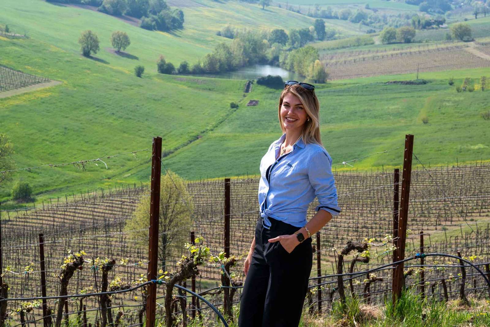 Au départ de Bologne : Wine Experience Colli Bolognesi