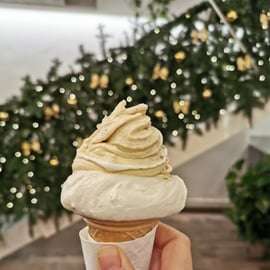 L'expérience ultime du gelato à Bologne