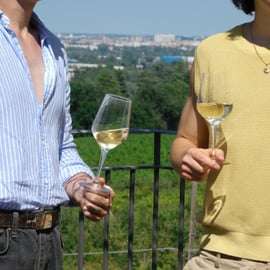 Dégustation de vins à Terre Rosse Vallania : histoire, nature, tradition.