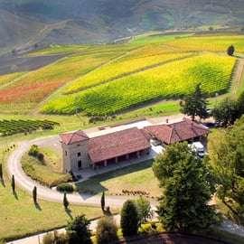 Tenuta Bonzara - Visite et dégustation de vins dans les Colli Bolognesi