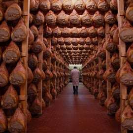 Depuis Bologne ou Modène : Visite gastronomique de Parme avec déjeuner