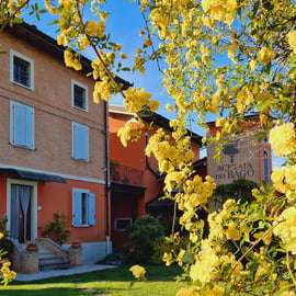Modène : visite et dégustation du vinaigre balsamique bio et traditionnel DOP