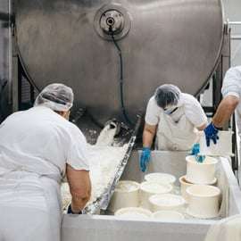 De Bologne : visites et dégustations de la fabrique de fromage et de jambon de Parme