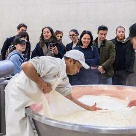 Bologne : visite autour du parmesan, du vinaigre balsamique et du vin, avec déjeuner léger