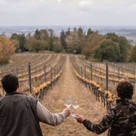 Ozzano Emilia : Visite guidée des caves avec dégustation de vin