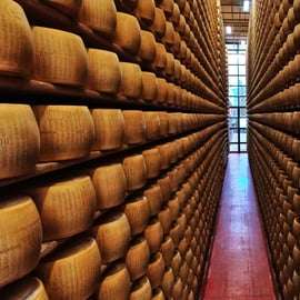Au départ de Bologne : visite culinaire d'excellence en Émilie