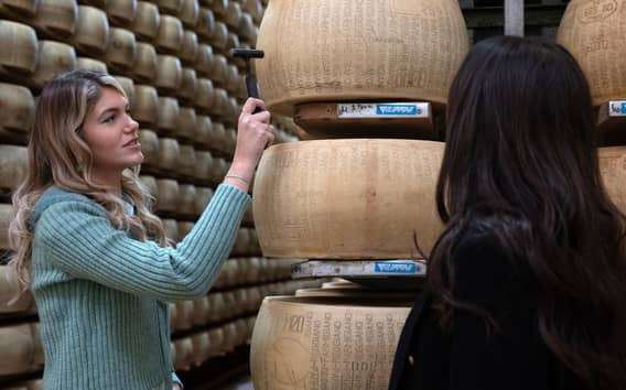 Au départ de Bologne : visite culinaire d'excellence en Émilie