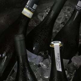 Dégustation de vins à Terre Rosse Vallania : histoire, nature, tradition.