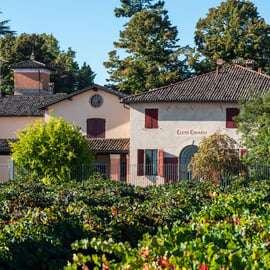 Castelvetro : visite de la cave et dégustation de Lambrusco