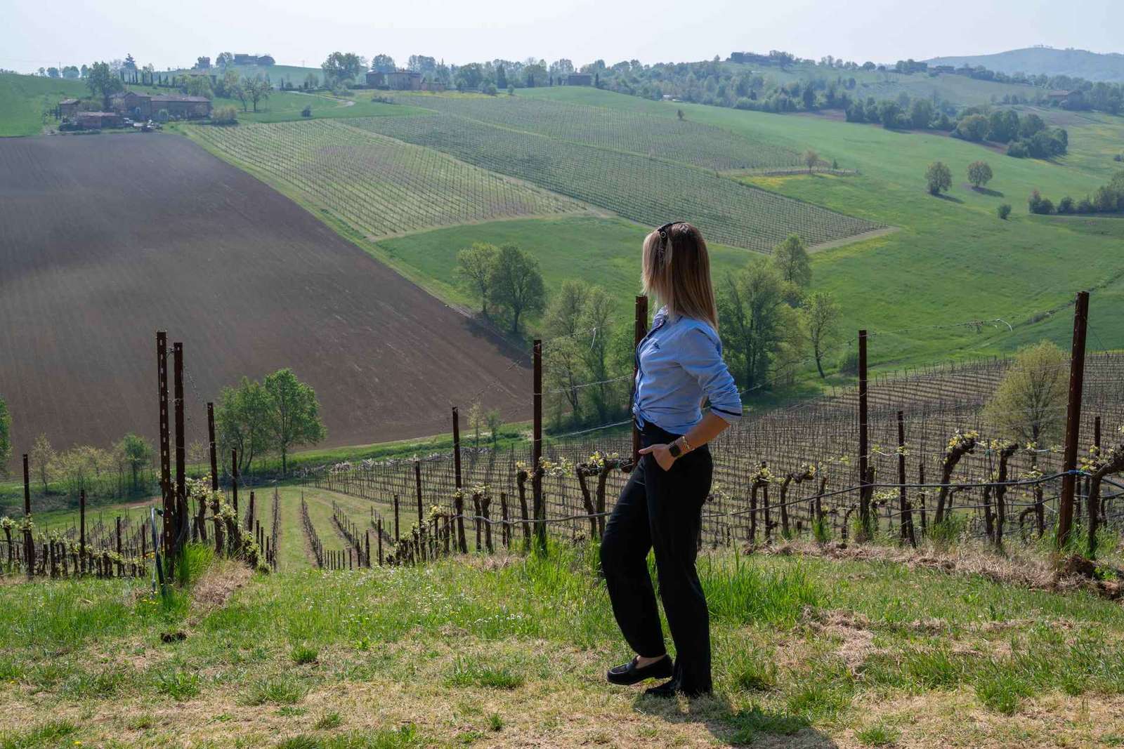 Wine Experience Colli Bolognesi - Visite de l'après-midi