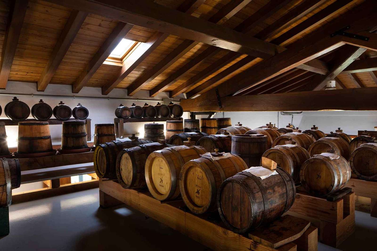Modène - Bologne : visite d'une cave biologique et d'une vinaigrerie
