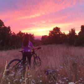 Bologne : visite guidée en E-Bike avec brunch ou Aperitivo