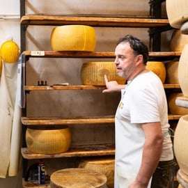 De Bologne : visite du parmesan, du vin et du prosciutto