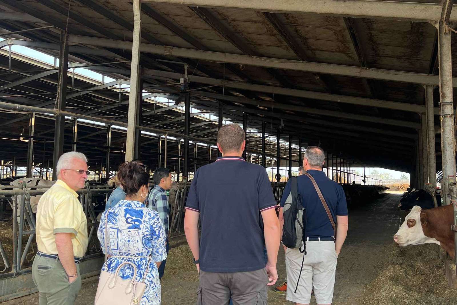 Modène/Bologne : Ferrari, Lambo, fromage, vinaigre avec déjeuner