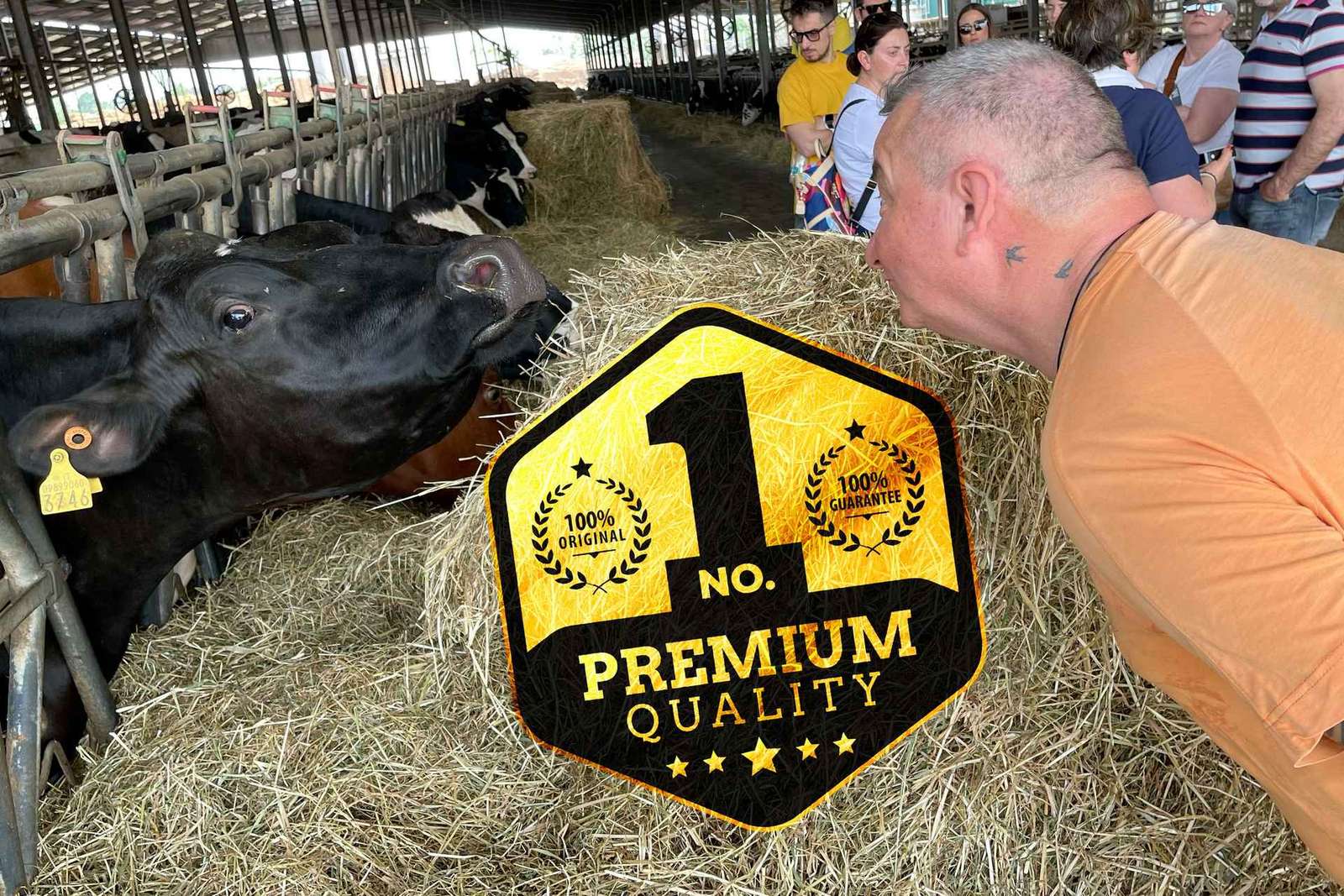 Modène : visite privée autour du Parmigiano Reggiano bio avec dégustation