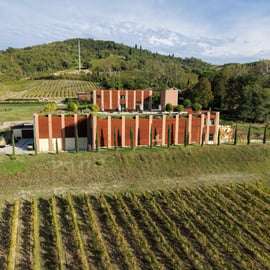 Bologne - Cantina Tomisa : Visite avec dégustation de vins biologiques
