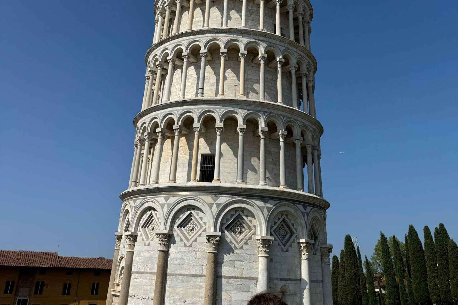 Bologne : visite d'une journée privée à Florence et Pise