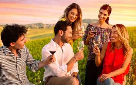 Bologne : visite d'une oliveraie et d'un vignoble avec dégustation de produits