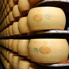 De Bologne : visite du parmesan, du vin et du prosciutto