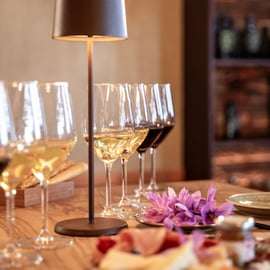 Bologne : visite d'une oliveraie et d'un vignoble avec dégustation de produits