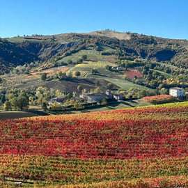 Castelvetro di Modena : dégustation de Lambrusco de la Fattoria Moretto !