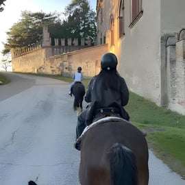 Bologne : balade à cheval dans les collines bolognaises