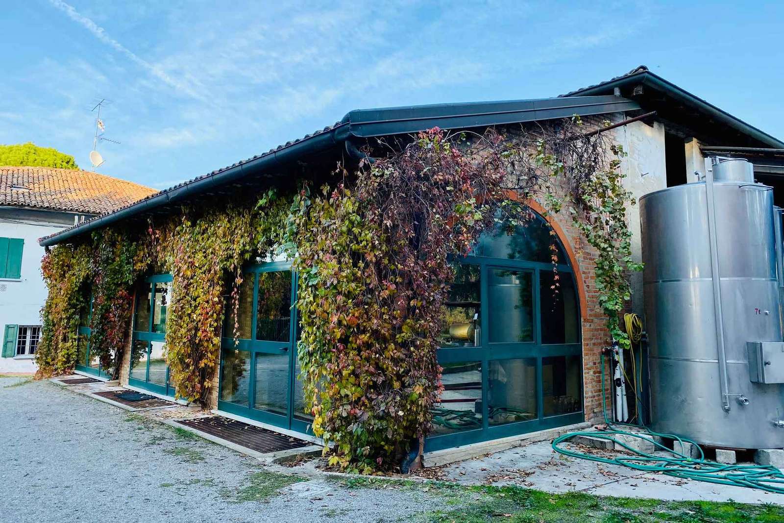 Dégustation de vins à Terre Rosse Vallania : histoire, nature, tradition.