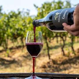 Fattoria Moretto : Visite Lambrusco Grasparossa di Collina