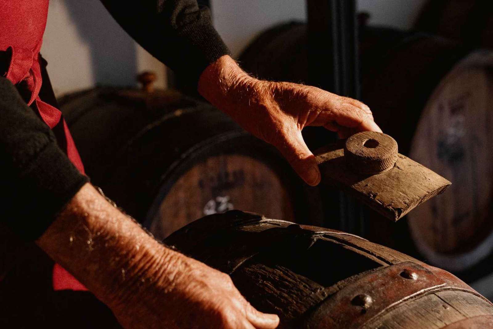 Acetaia historique : visite de la fabrique de vinaigre balsamique et dégustation