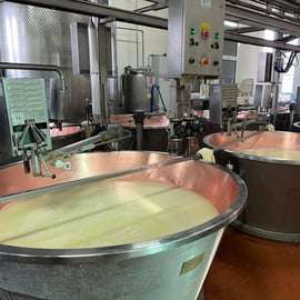 Musée Ferrari, fromage parmesan, visite culinaire du vinaigre balsamique