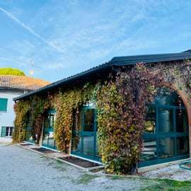 Dégustation de vins à Terre Rosse Vallania : histoire, nature, tradition.