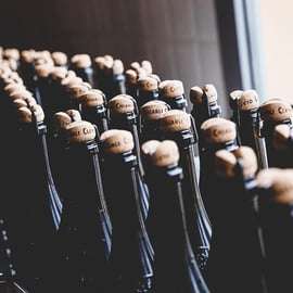 Castelvetro : visite de la cave et dégustation de Lambrusco