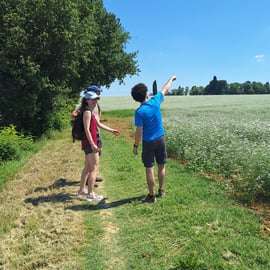 Bologne : Promenade avec dégustation de vins