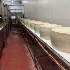 Bologne/Modène : Visite du Parmigiano, de Ferrari et du vin avec déjeuner