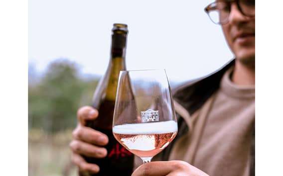 Ozzano Emilia : Visite guidée des caves avec dégustation de vin