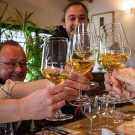 Bologne : expérience du parmigiano, du vin et du vinaigre balsamique