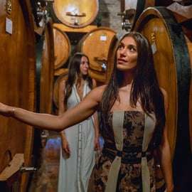 Au départ de Bologne : Wine Experience Colli Bolognesi
