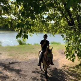 Bologne : balade à cheval dans les collines bolognaises